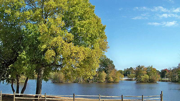 basil griffin park